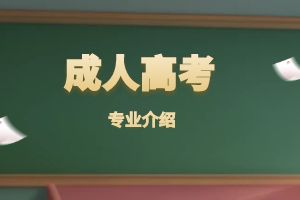 2024年云南省成人高考高起专-商务英语专业介绍