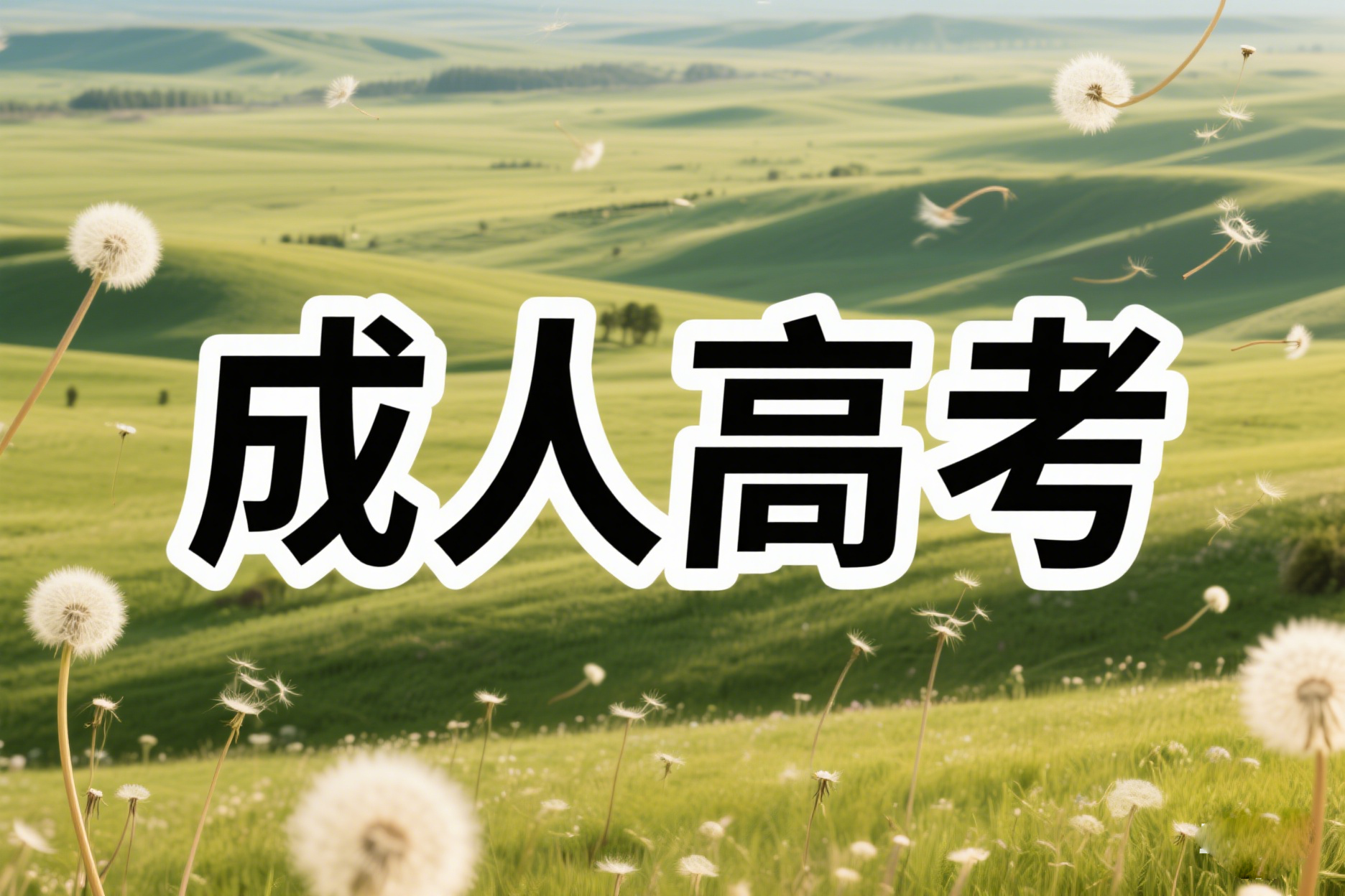 云南成人高考社会工作专业